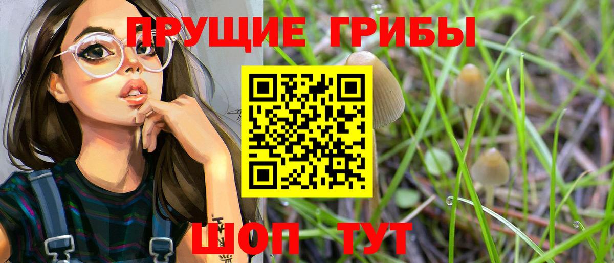 Галлюциногенные грибы Psilocybine cubensis  Галлюциногенные грибы прущие грибы  Первоуральск  Вход с VPN 